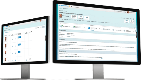 SAP SuccessFactors Performance and Goals