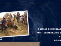 [O que nossos clientes fizeram pelo nosso ERP em 2020]