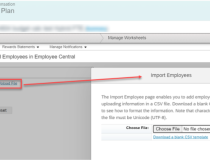 [Principais Destaques no Release SAP SuccessFactors Compensation H1/2021]