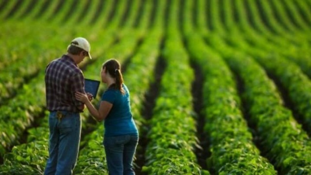 Conheça as mudanças na cultura organizacional no agronegócio