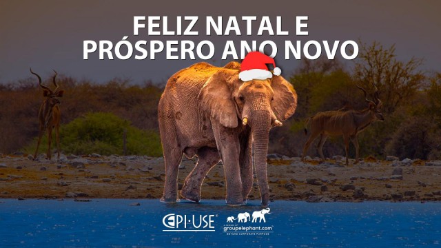 Feliz Natal e Próspero Ano Novo