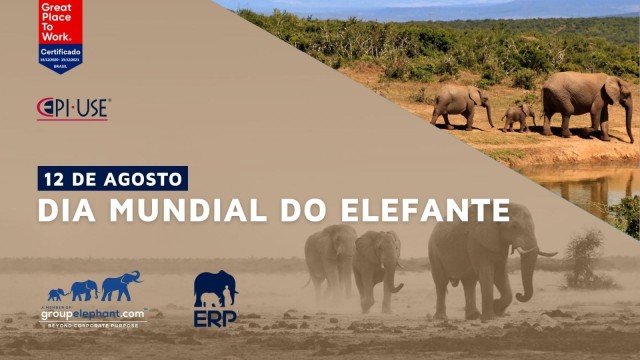 A EPI-USE celebra o Dia Mundial do Elefante