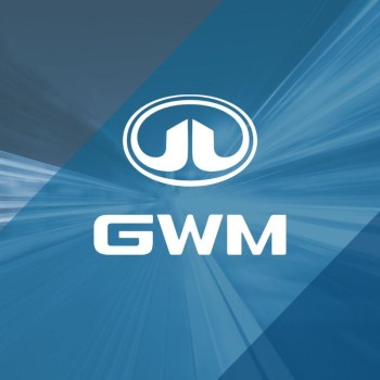 Leia mais sobre o case GWM