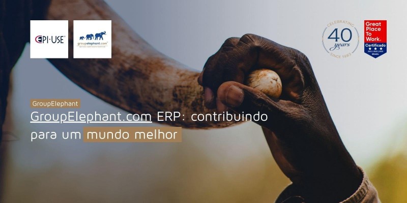 GroupElephant.com ERP: contribuindo para um mundo melhor