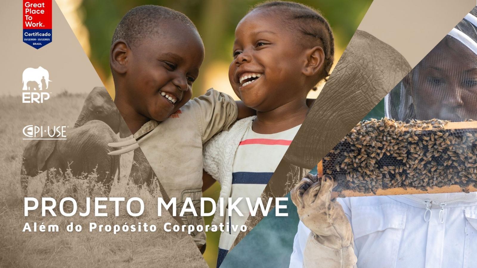 ERP Implementa Colmeia no Projeto Madikwe