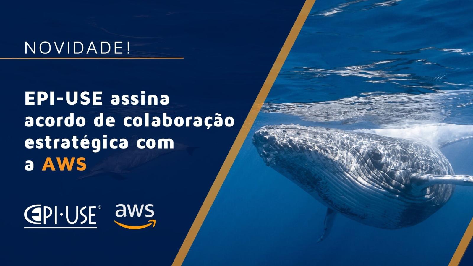 EPI-USE assina acordo de colaboração estratégica com a AWS